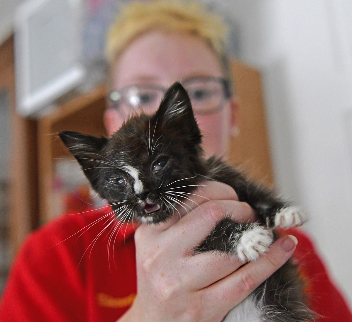 Slideshow: Angels for the Animals Part I